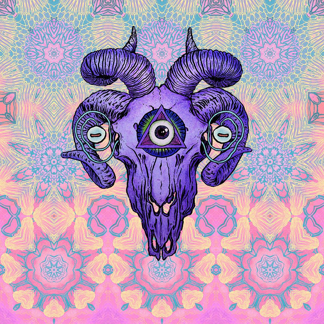 Tempes Aegagrus [skull]